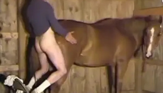 Zoophile guy fucks a beautiful mare in the stable