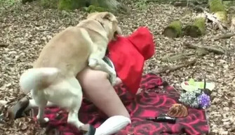 Le petit chaperon Rouge zoophile se retira dans la forêt avec un chien et avait une bonne baise