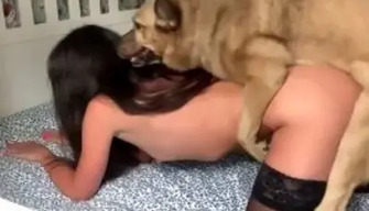 Russiske zoophile elsker både vibrator og hund kuk