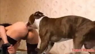 Full-length zoo porn-von einer Russischen Frau mit einem Hund und ein Mann zu Hause