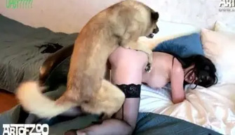 Russische jonge zoophile Lyuba seks gehad met een hond thuis op het bed