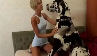 Énorme chien Dalmatien activement baise une mince étudiant dans la chambre à coucher sur le lit