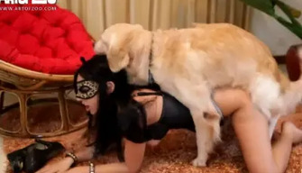 Linda morena Irina folla con dos perros en diferentes poses