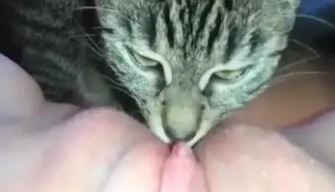 Cat licks mistress pussy to squirt (close-up)