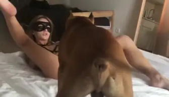 Sonya, ArtofZoo pornosu izlemekten ilham aldı ve köpeği çiftleşmeye çağırdı