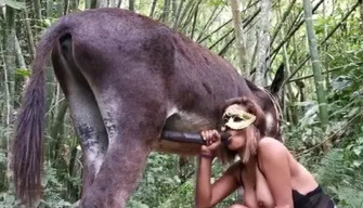 Sexy zoo girl sucks a donkey in the woods with cum swallowing